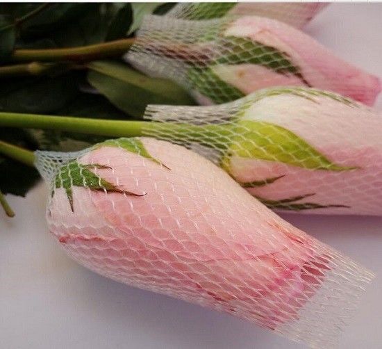 10CM Protective Netting Sleeve White Extruded Rose Protection Bud Net