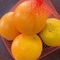 Fruits LDPE Net Mesh Sleeve Bag For Orange Lemon Packing