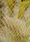 PE Mesh Net Drawstring Bag Tubular Knitted Form Durable For Vegetable Packing